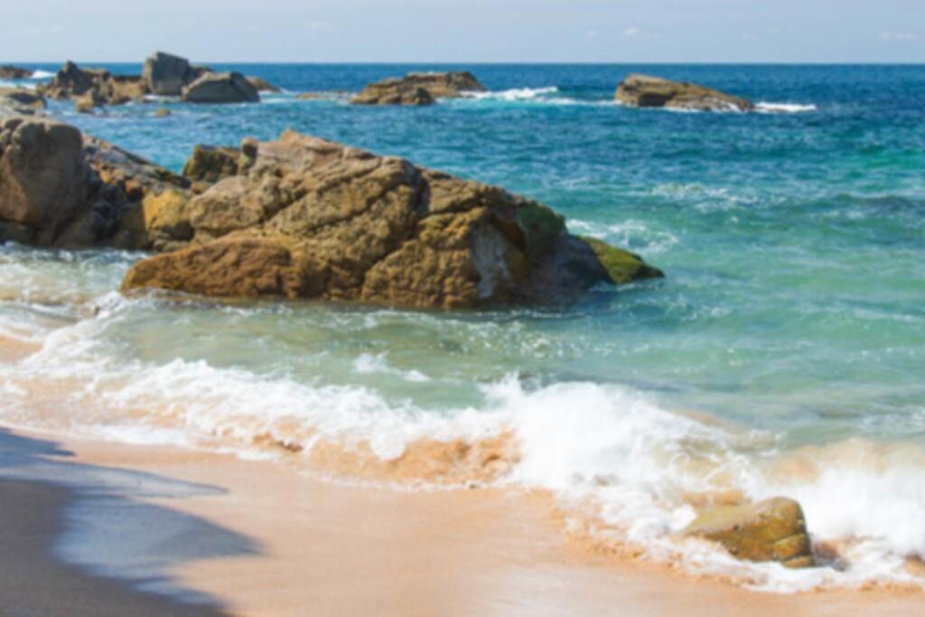 Le Petit Cote Ouest - Appt Dans Les Pins Pres De La Plage Les Sables-dʼOlonne Eksteriør bilde