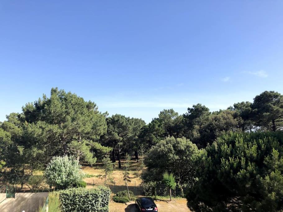 Le Petit Cote Ouest - Appt Dans Les Pins Pres De La Plage Les Sables-dʼOlonne Eksteriør bilde